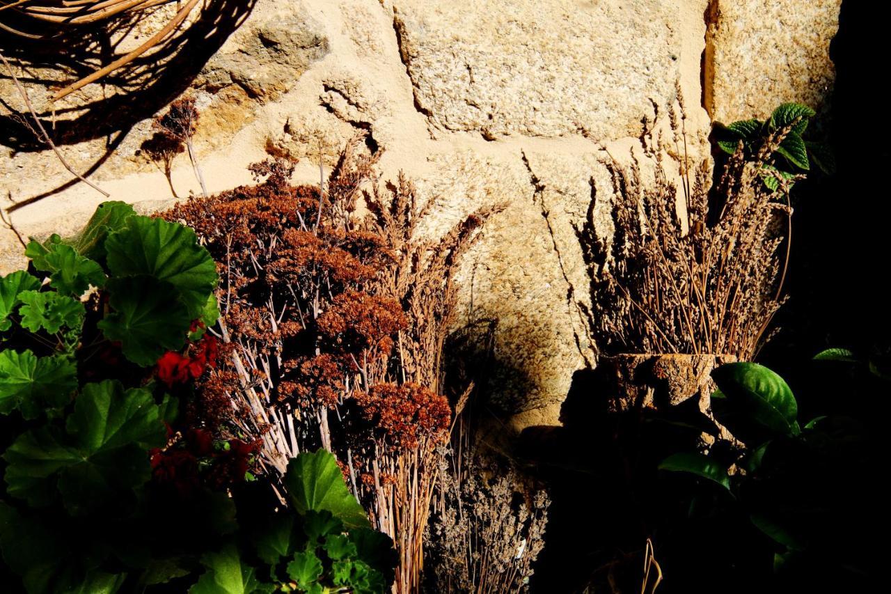 Maceda Pazo De Chaioso Ribeira Sacra المظهر الخارجي الصورة
